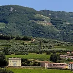 Ulivi Negrar