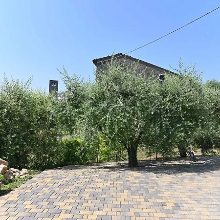 Ulivi דירה נגראר