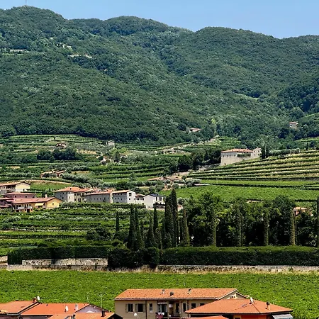 Ulivi 아파트 네그라르